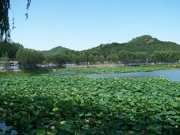 北京红螺湖鸟岛度假村拓展基地介绍